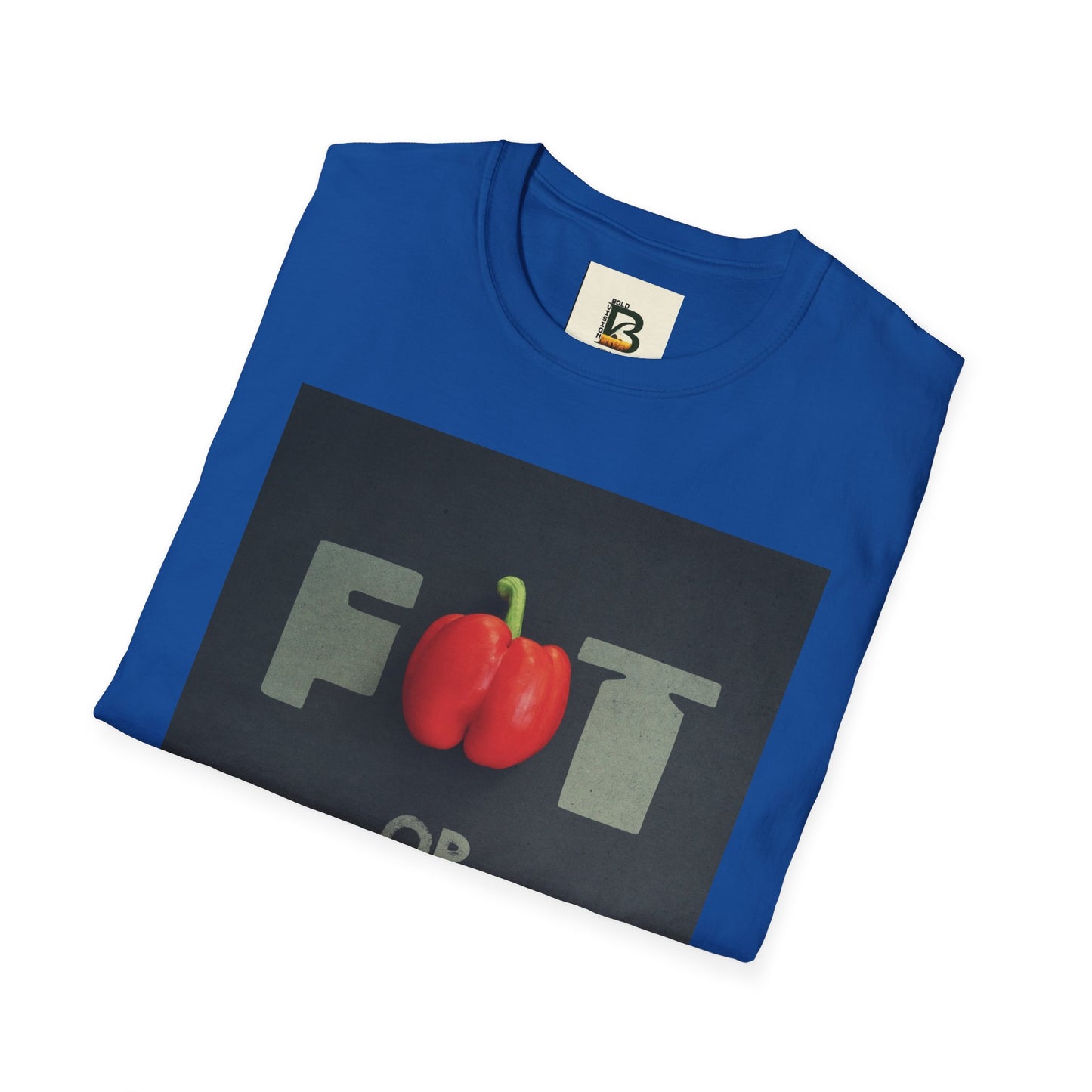 Motivational message diet gym training exercise concept on black background with text fat or fit