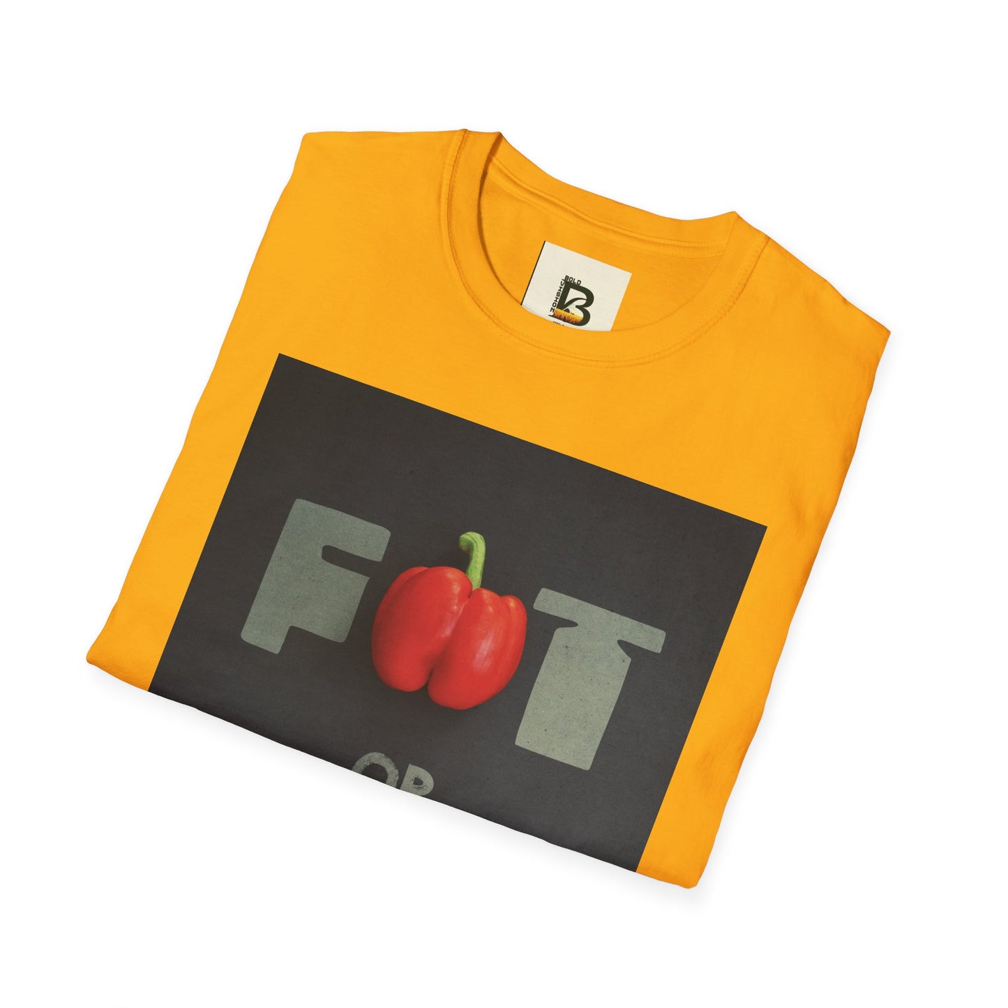 Motivational message diet gym training exercise concept on black background with text fat or fit