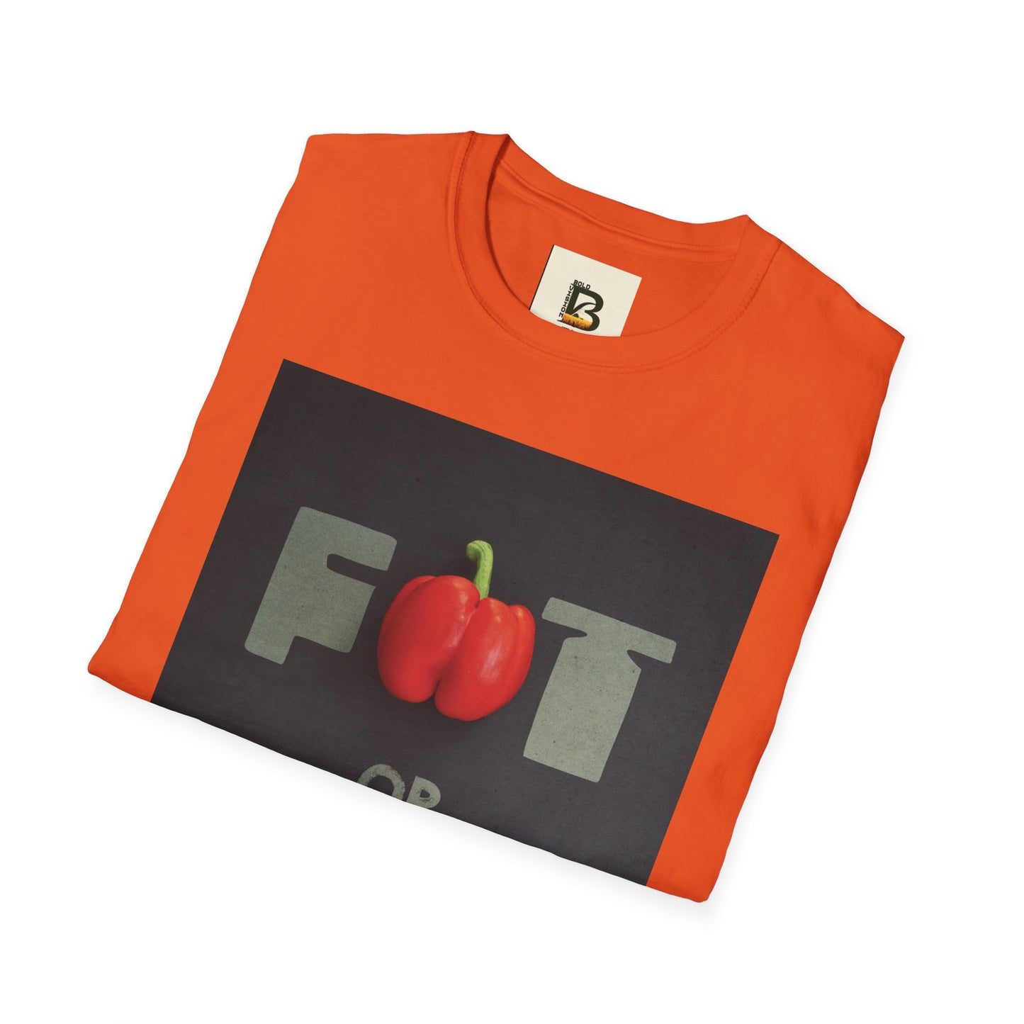 Motivational message diet gym training exercise concept on black background with text fat or fit