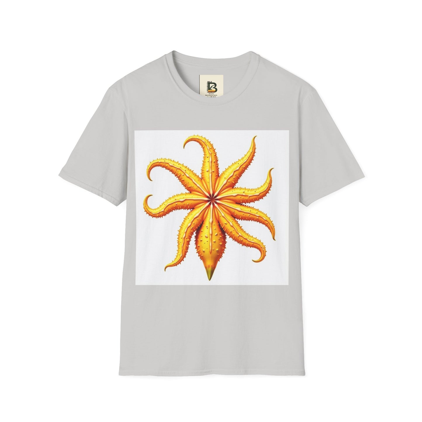 Star Fusion