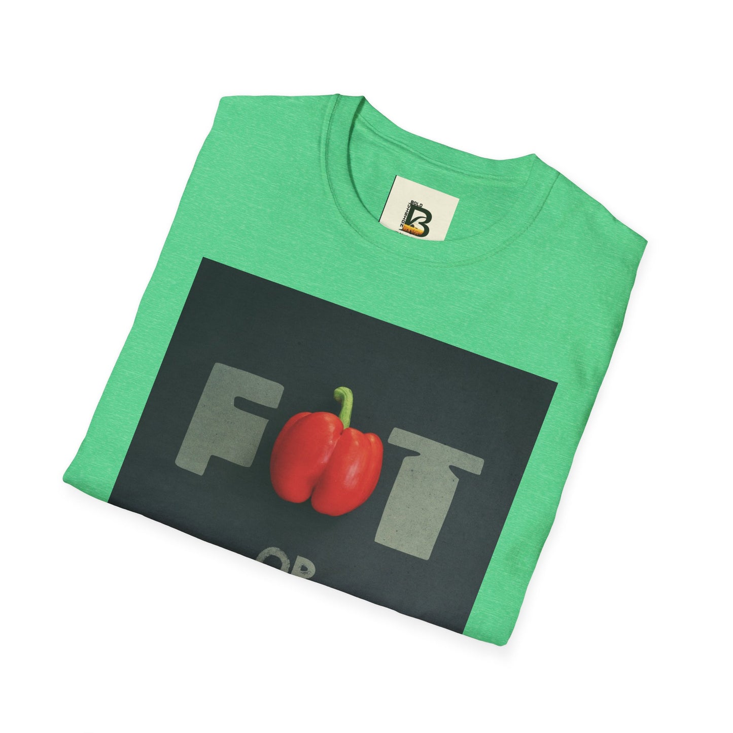 Motivational message diet gym training exercise concept on black background with text fat or fit