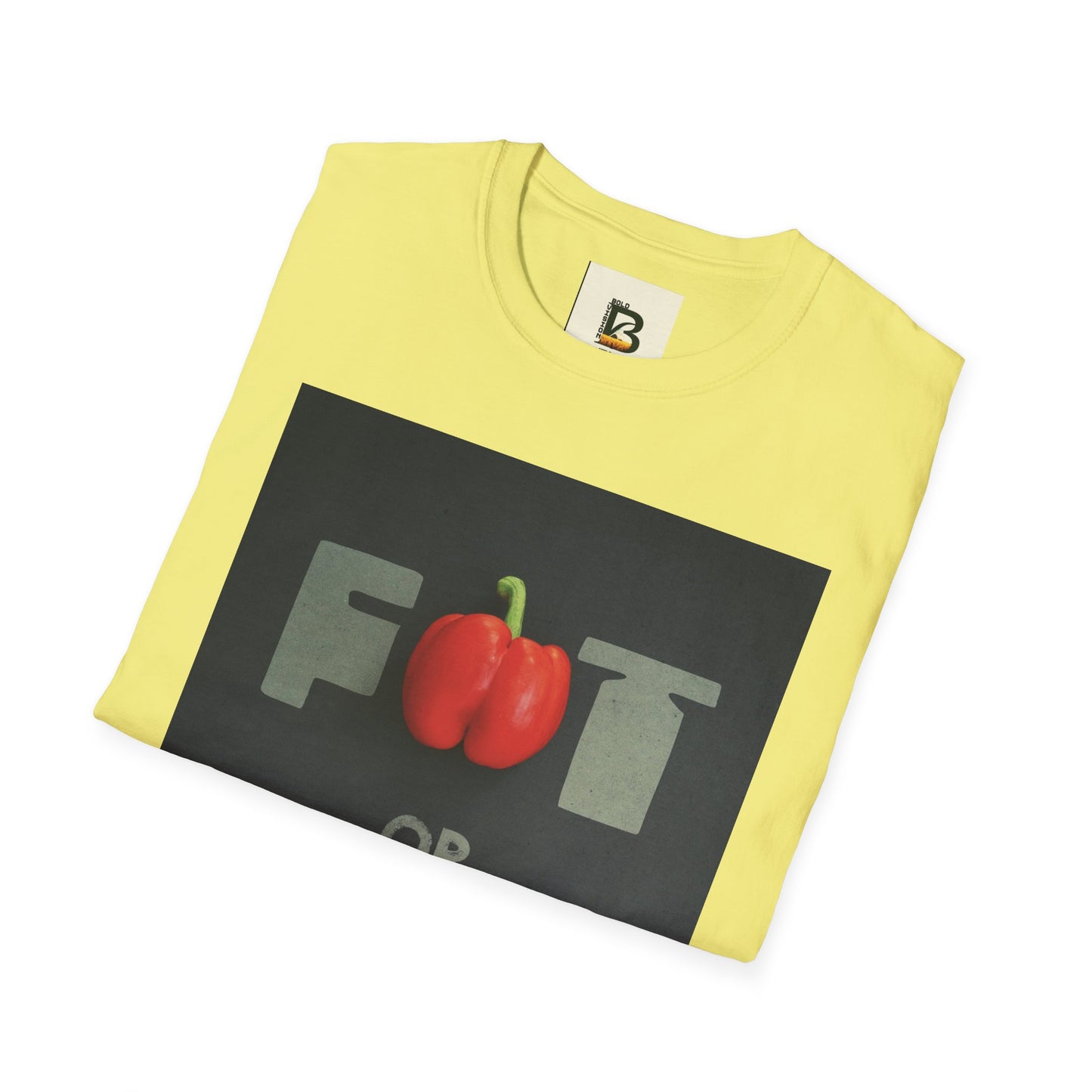 Motivational message diet gym training exercise concept on black background with text fat or fit