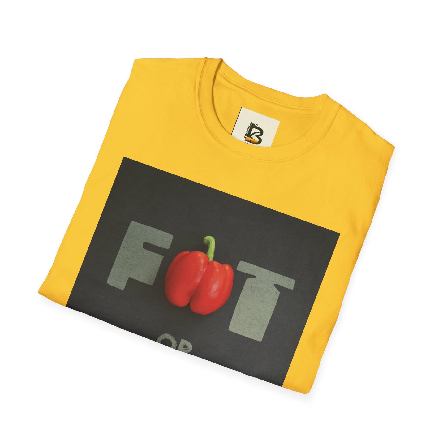 Motivational message diet gym training exercise concept on black background with text fat or fit