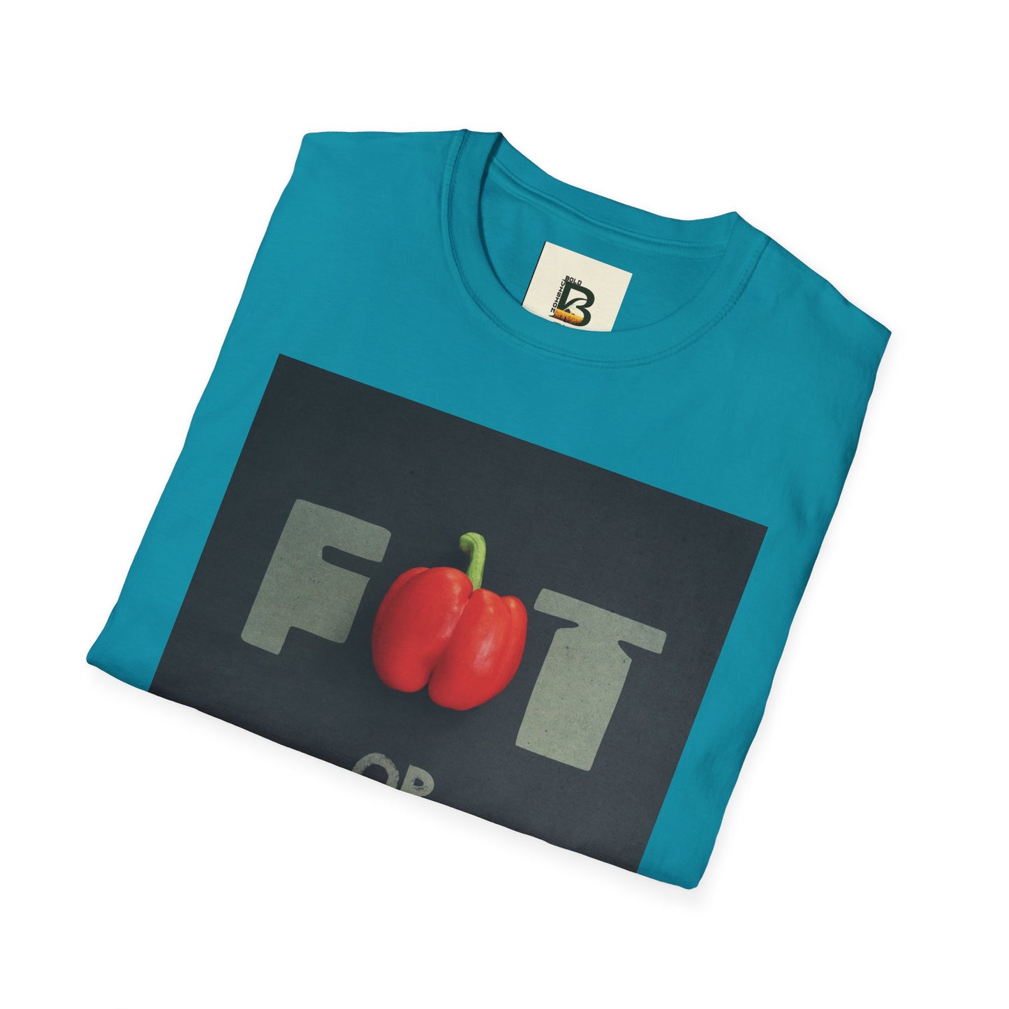 Motivational message diet gym training exercise concept on black background with text fat or fit