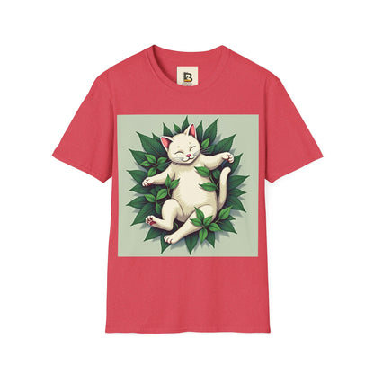 Dreamy Catnip