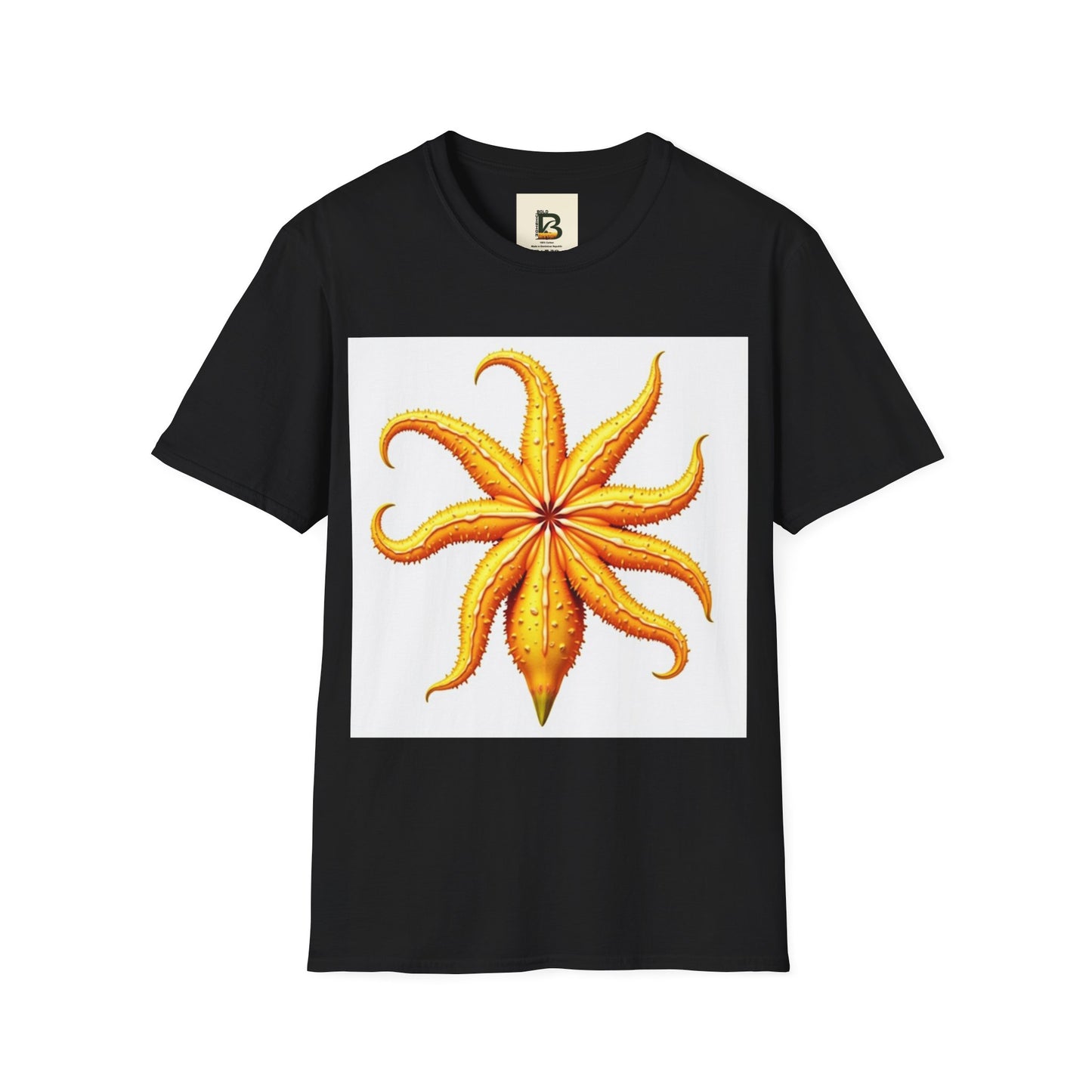 Star Fusion